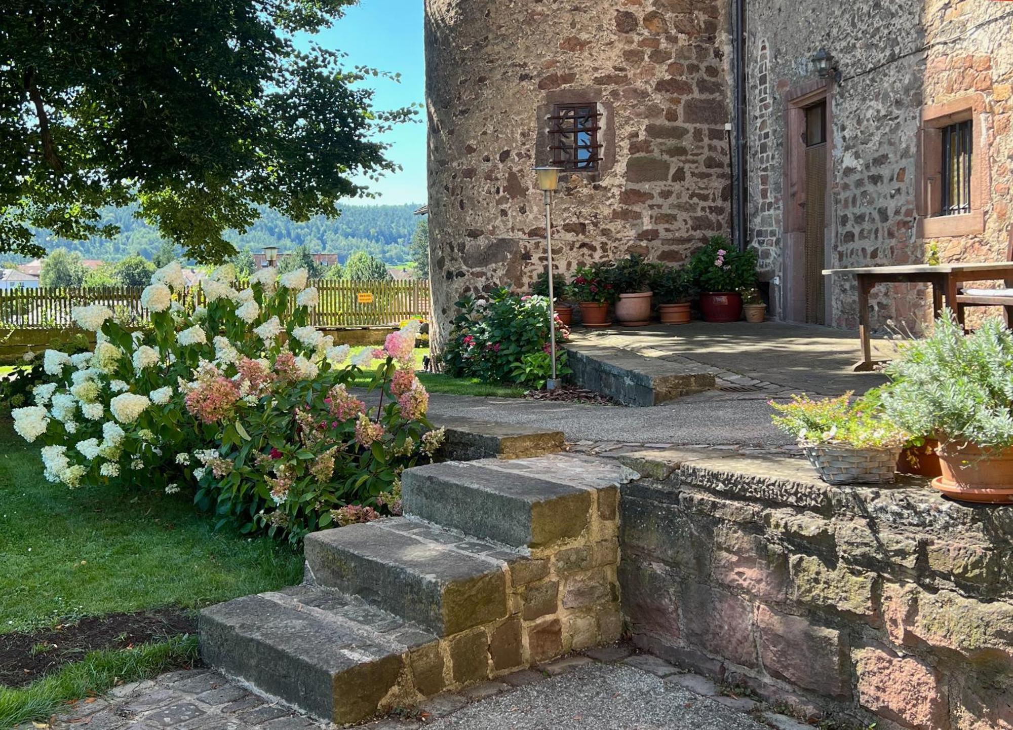 Alte Foersterei - Elegantes Apartment In Der Historischen Hinterburg Schlitz - Nahe Fulda Und Bad Hersfeld Εξωτερικό φωτογραφία