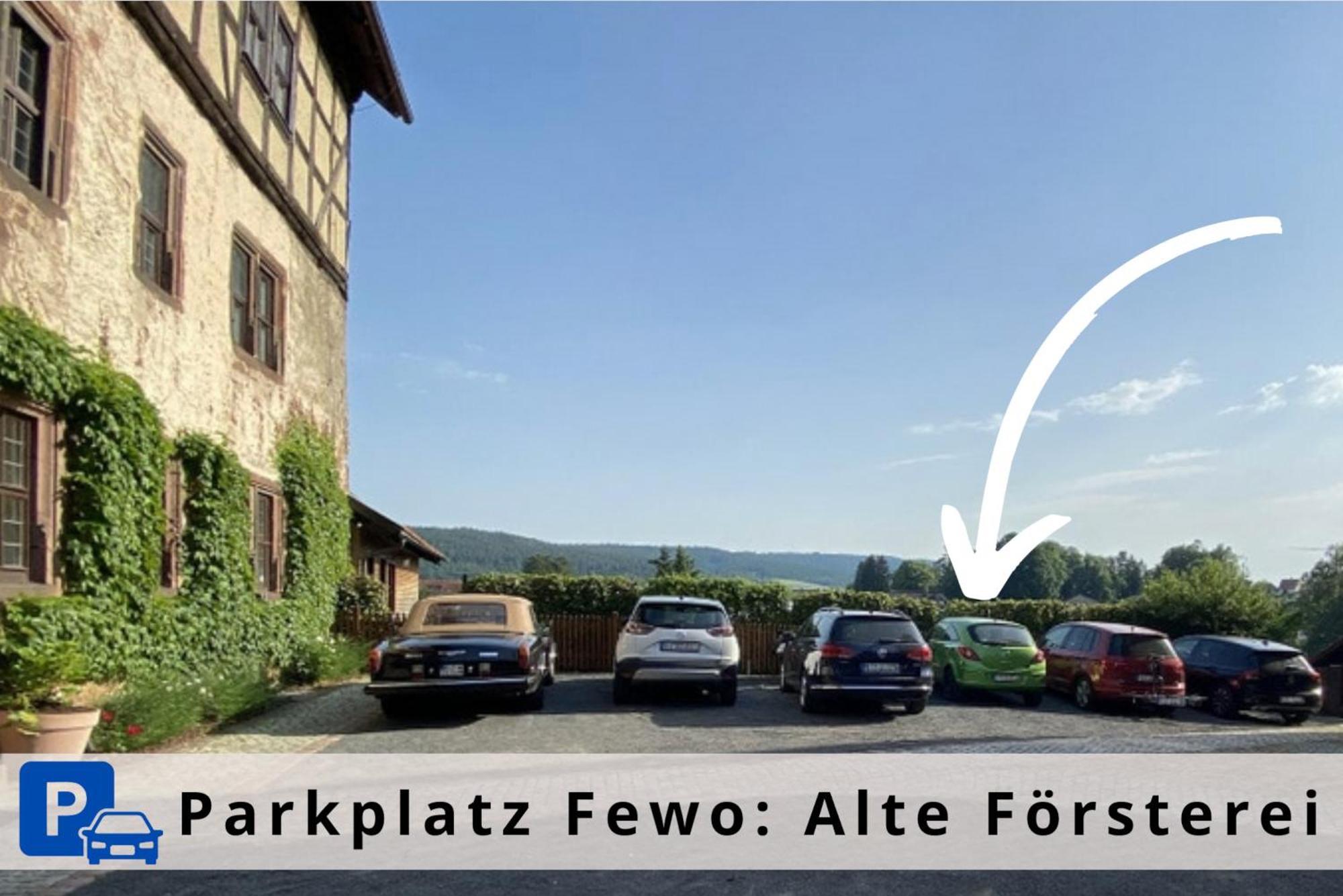 Alte Foersterei - Elegantes Apartment In Der Historischen Hinterburg Schlitz - Nahe Fulda Und Bad Hersfeld Εξωτερικό φωτογραφία